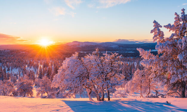 Solsticio de Invierno: Energía, Renacimiento y Yoga