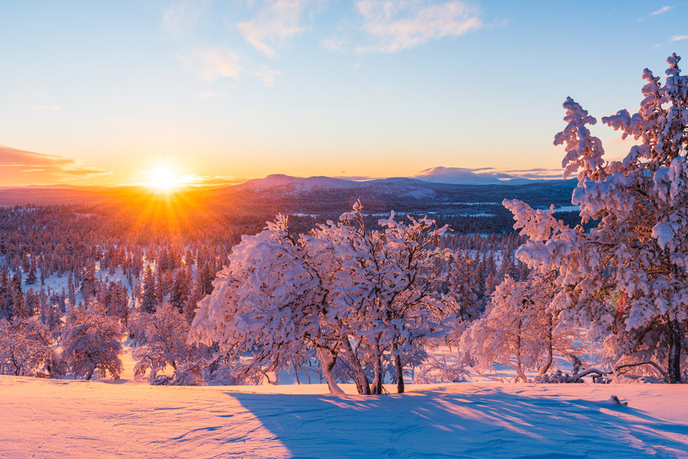 Solsticio de Invierno: Energía, Renacimiento y Yoga