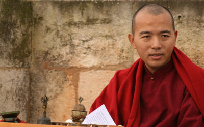 Enseñanzas con el S.E. Nyari Tritul Rinpoche