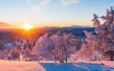 Solsticio de Invierno: Energía, Renacimiento y Yoga